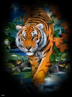 Bengáli tigris