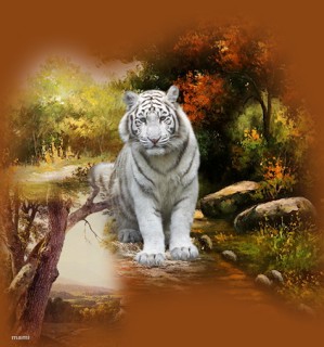Fehér tigris