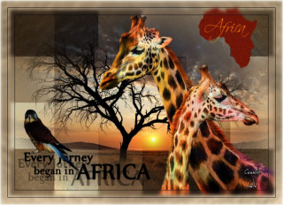 Afrika