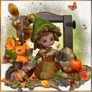 Little Forest Elf