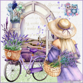 Lavender