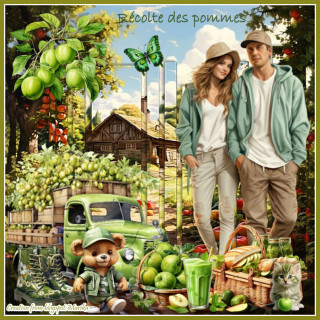Apple Harvest