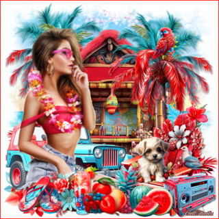 Aloha beach