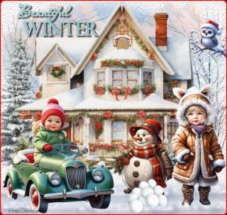 Beautiful winter